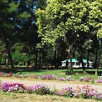Hotel Alexakis &