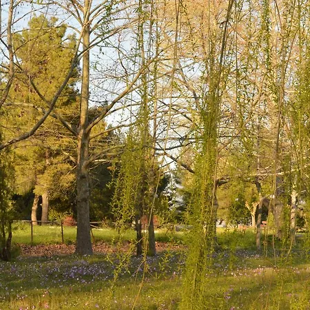 Hotel Alexakis & Loutra Ipatis