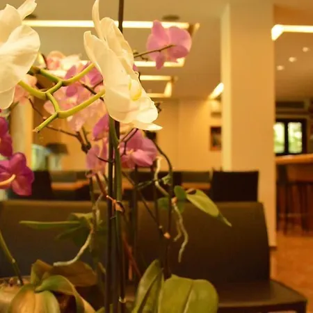 Hotell Alexakis & 3*