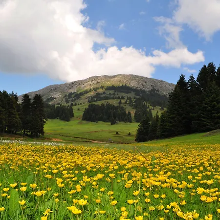 Alexakis & Hotel Loutra Ipatis