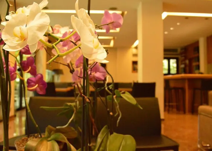 Ξενοδοχείο Alexakis & 3*