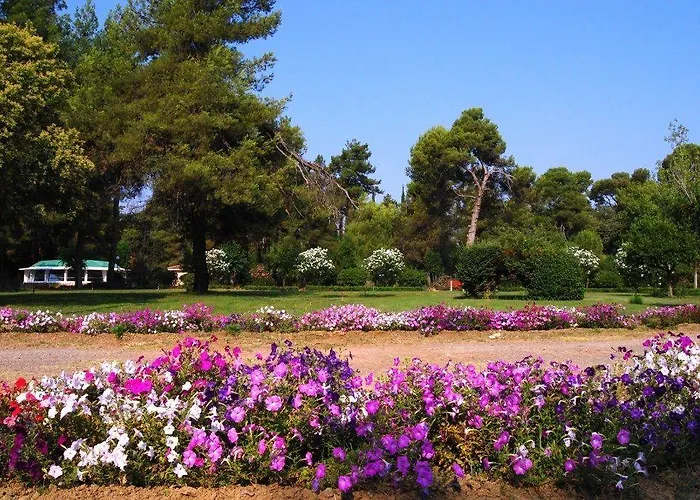 Alexakis & Λουτρά Υπάτης