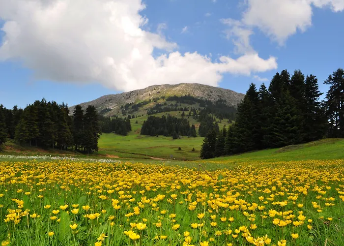 Alexakis & Ξενοδοχείο Λουτρά Υπάτης