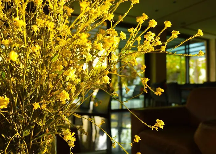 Alexakis & Ξενοδοχείο