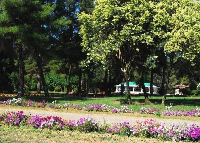 Ξενοδοχείο Alexakis &