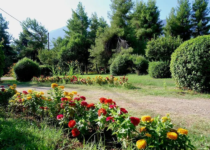 Alexakis & Ξενοδοχείο Λουτρά Υπάτης