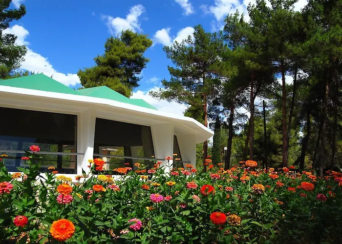 Ξενοδοχείο Alexakis & 3*